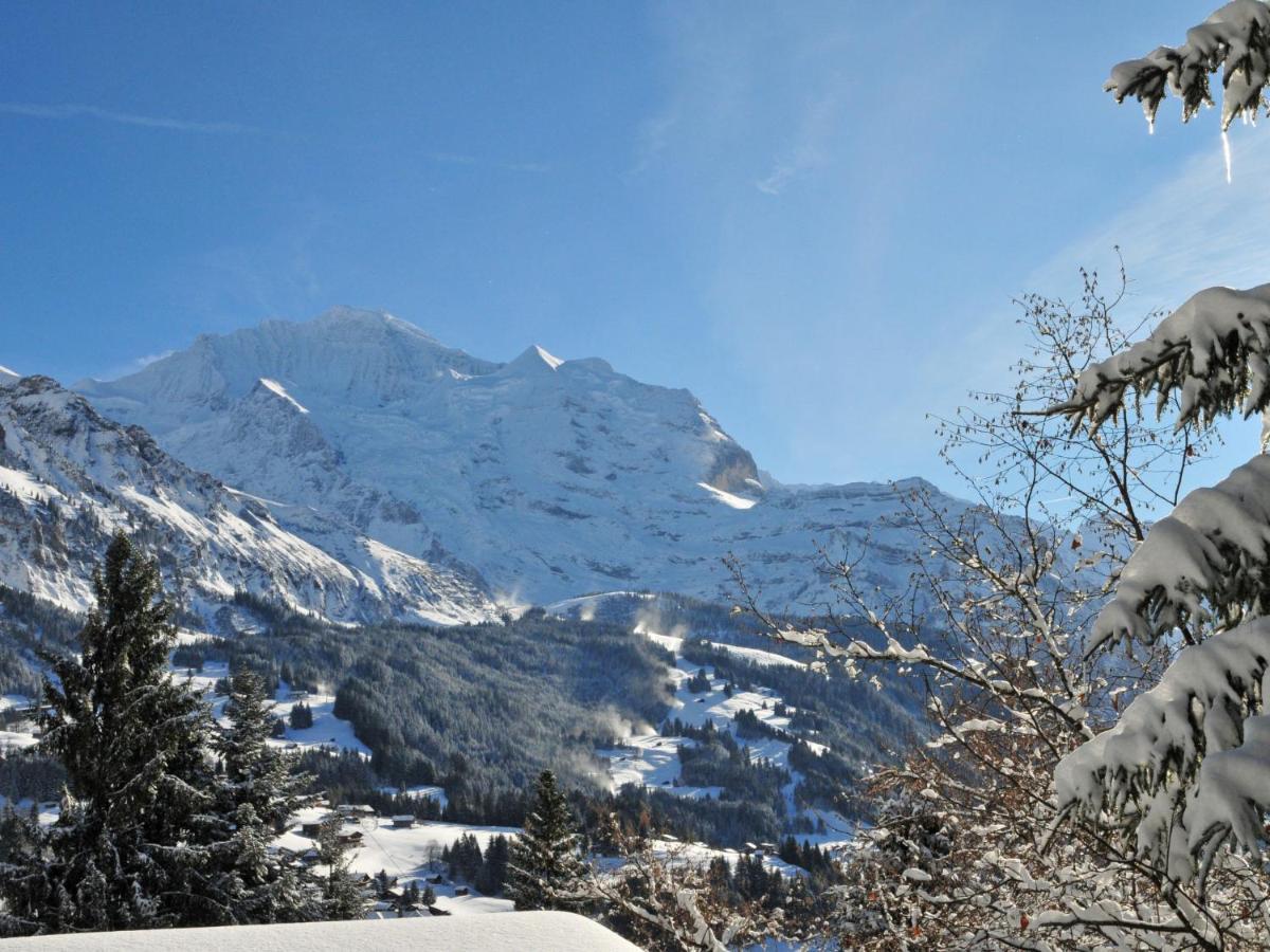 Apartment Silberhorn-1 By Interhome Wengen Luaran gambar